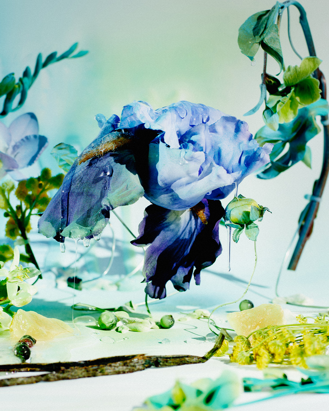 Цветочный натюрморт с синим ирисом из кампании Byredo Future Memories